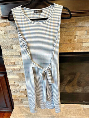 Mercury Striped Tie-Waist Midi Dress in Blue & White